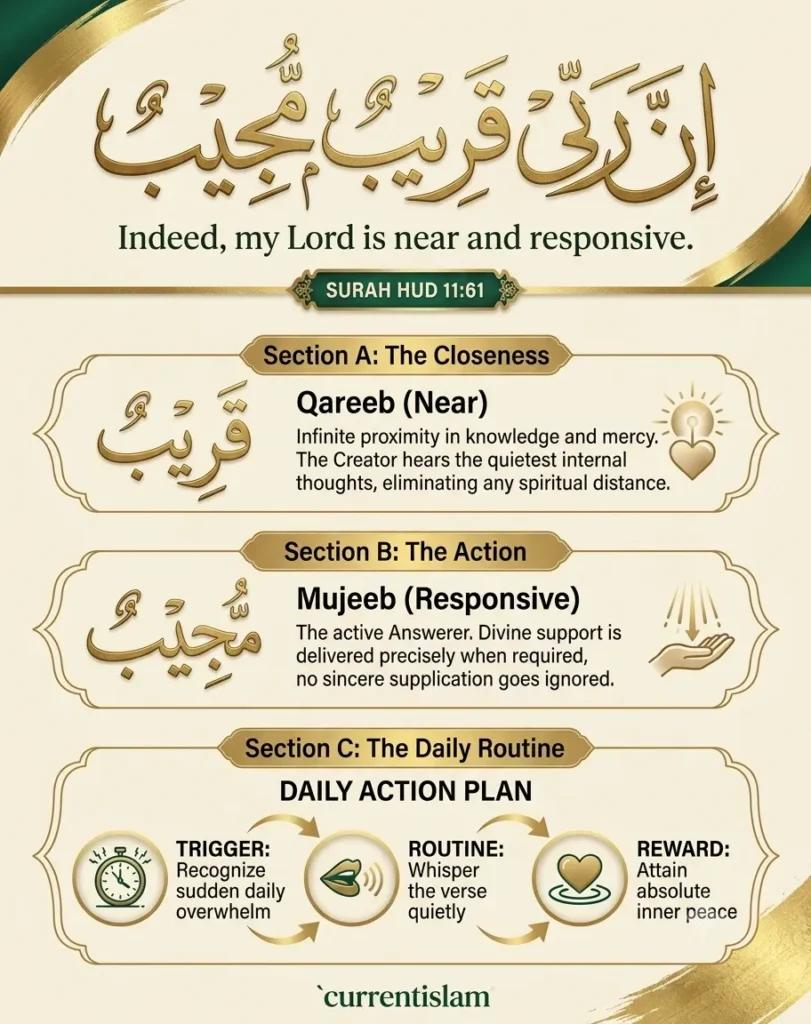 An elegant, information-dense infographic explaining the linguistic meaning of Qareeb (Near) and Mujeeb (Responsive) from Surah Hud 11:61, paired with a 3-step Daily Action Plan for building a spiritual habit loop.