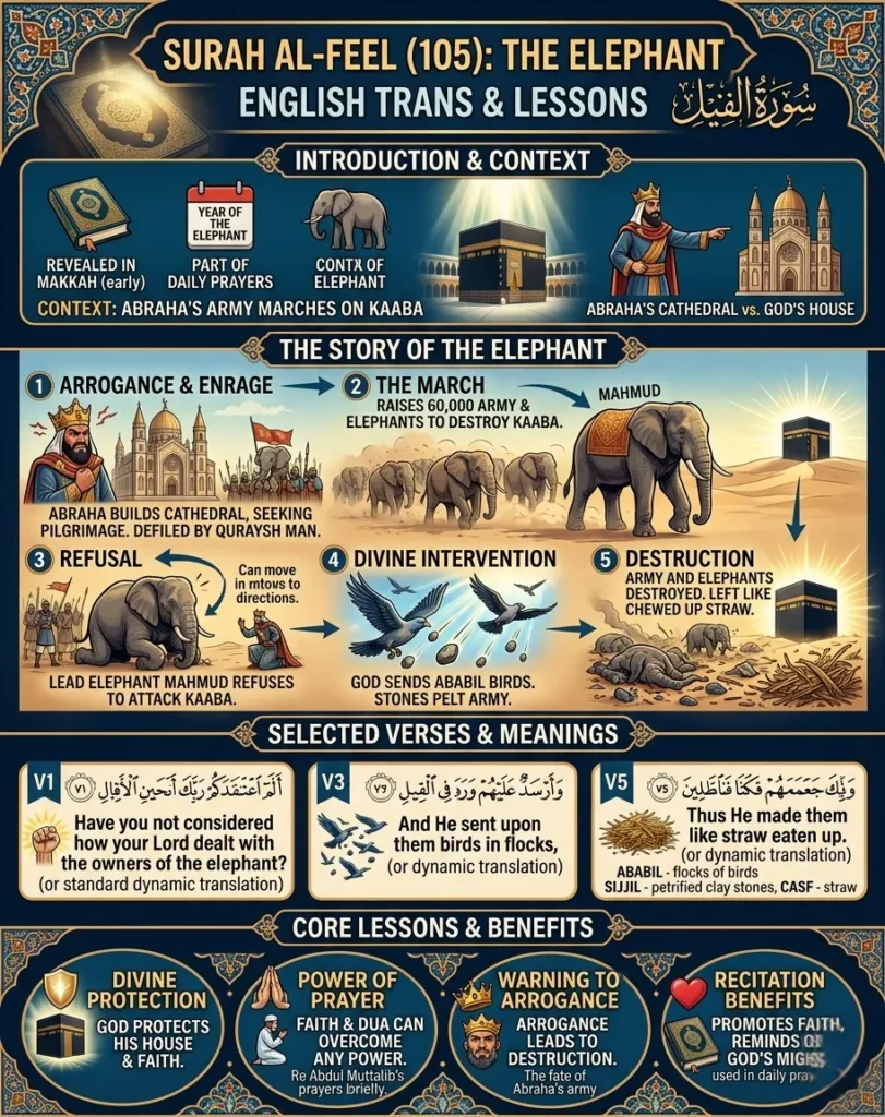 A detailed Islamic infographic titled "Surah Al-Feel (105): The Elephant." It features five illustrated sections detailing the "Story of the Elephant" (from Abraha’s march to divine intervention with Ababil birds), selected English verses (V1, V3, V5) with Arabic text, and core lessons like "Divine Protection" and the "Power of Prayer." The design is elegant and uses a gold, cream, and dark blue color palette.
