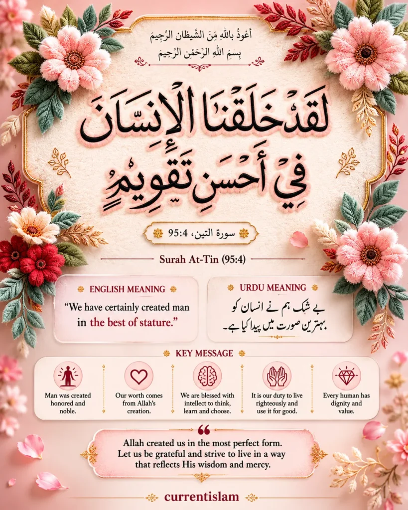 Islamic infographic explaining Surah At-Tin verse 95:4 with Arabic text, English and Urdu translation, key lessons, human dignity, Allah’s perfect creation, floral Islamic design, and Quranic reflections.