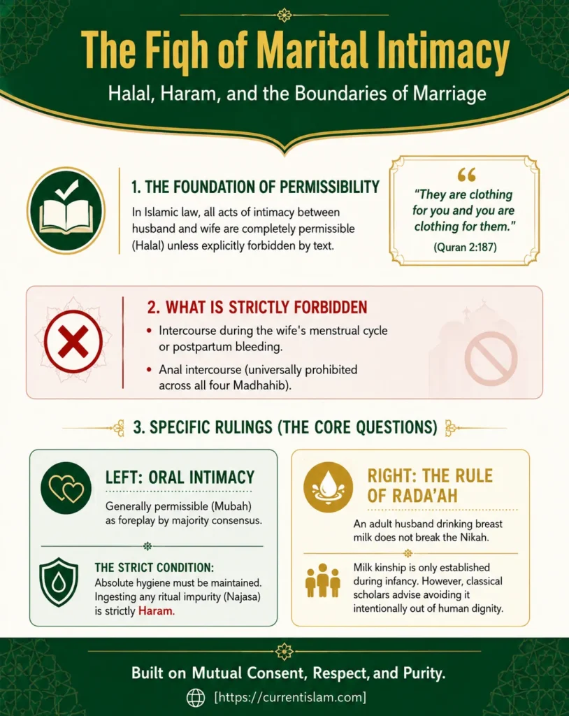 Infographic detailing the Islamic Fiqh of marital intimacy, explaining Halal and Haram boundaries, rulings on foreplay, kissing private parts, and the rules of Rada'ah (breast milk).