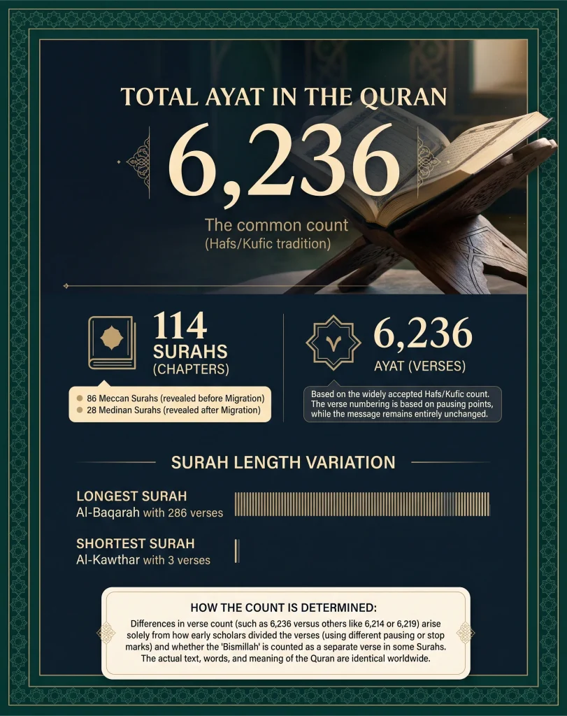 Detailed infographic explaining the structure of the Quran, displaying 6,236 total Ayat, 114 Surahs, the longest Surah Al-Baqarah, the shortest Surah Al-Kawthar, and how verse counts are determined.
