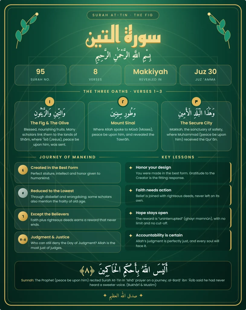 Surah At-Tin infographic showing Arabic verses, the three Quranic oaths, humanity's creation, faith, righteous deeds, and divine judgment.